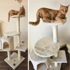 Drapak-dla-Kota-TomiDomi-Bezowy-116cm-5-Poziomow-Domek-Wieza-Pileczki-Kod-producenta-DRA005