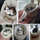 Projekt bez nazwy (51)