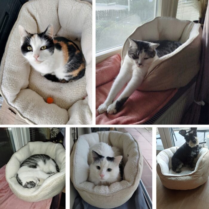 Projekt bez nazwy (51)