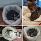 Projekt bez nazwy (53)