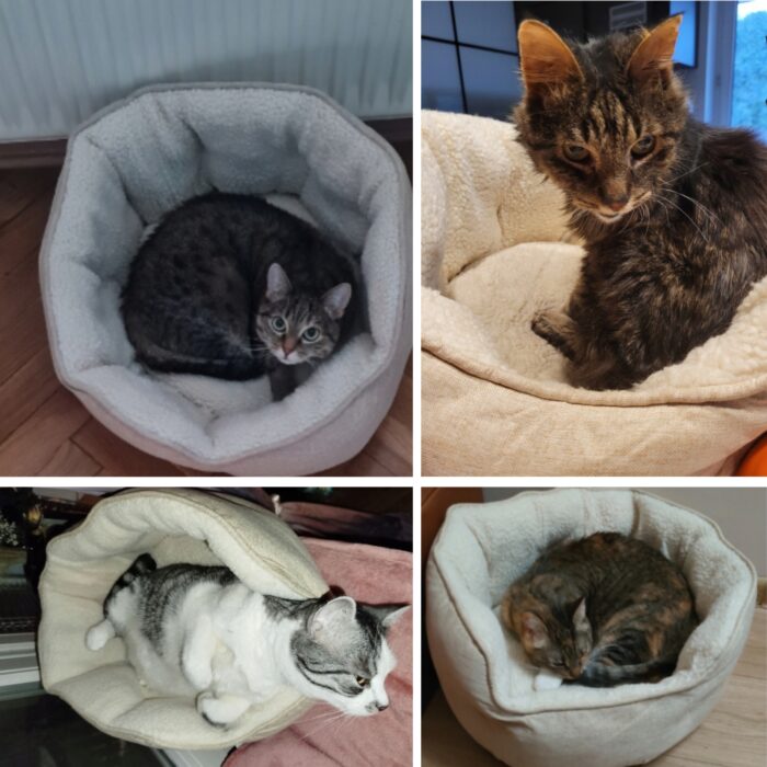 Projekt bez nazwy (53)