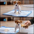 4b8c85584e56a63d9b55cf3828dc