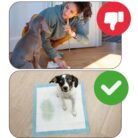 F749fc059cd8f452dcb267b39418d08c