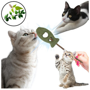 Rybka matatabi dla kota