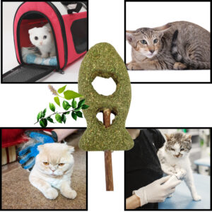 Rybka matatabi dla kota