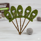 Rybka patyk matatabi 5 sztuk