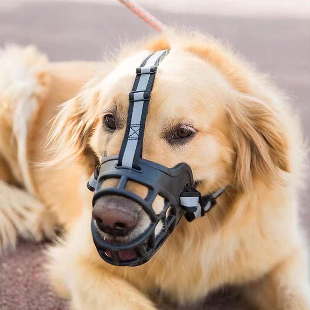 Kaganiec Fizjologiczny_dla_Psa_Gumowy