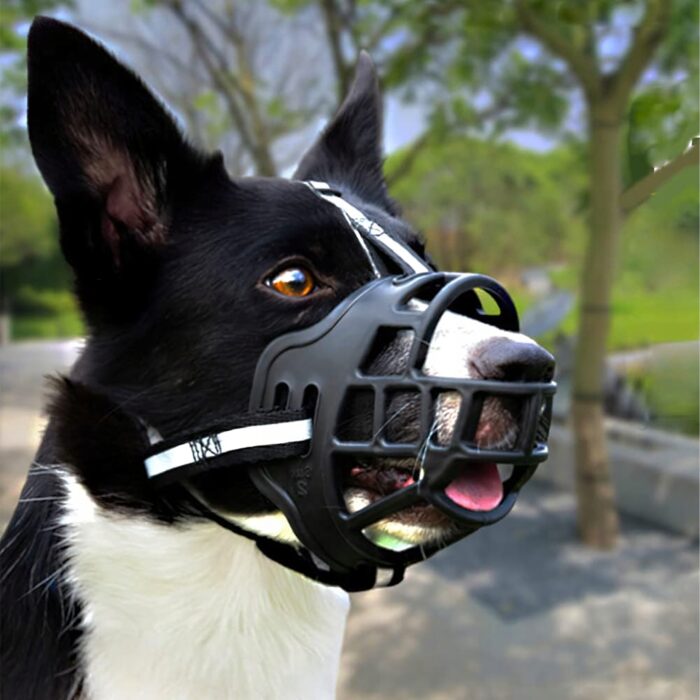 Kaganiec Fizjologiczny_dla_Psa_Gumowy