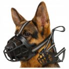 Kaganiec Fizjologiczny_dla_Psa_Gumowy